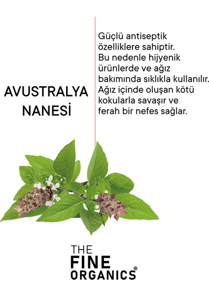 The Fine Organics Avustralya Nanesi Özlü Diş Temizleme Ve Beyazlatma Mendili