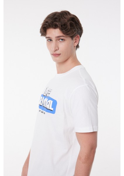 Regular Fit Normal Kesim %100 Pamuk Bisiklet Yaka Kırık Beyaz Tişört fırsatları