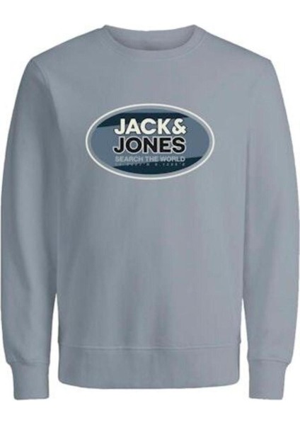 12267544 Jcoray Color Sweat Crew Neck Fst Erkek Sweatshirt