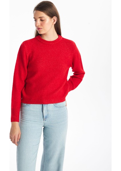 Lcw Vision Bisiklet Yaka Düz Uzun Kollu Kadın Triko Kazak