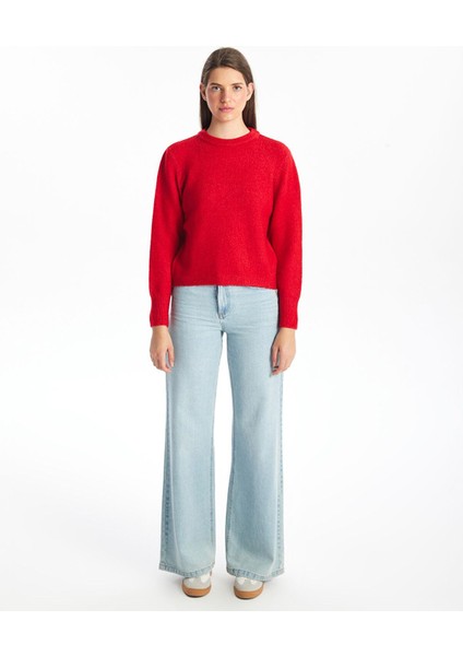 Lcw Vision Bisiklet Yaka Düz Uzun Kollu Kadın Triko Kazak fiyatları