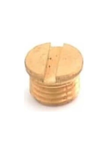 Mini Kumaş Kesim Motoru Kömür Kapak / PLS-70-B52