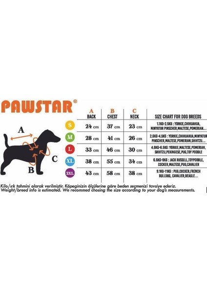 Gri Sydney Peluşlu Su Geçirmez Küçük Irk Köpek Yağmurluğu