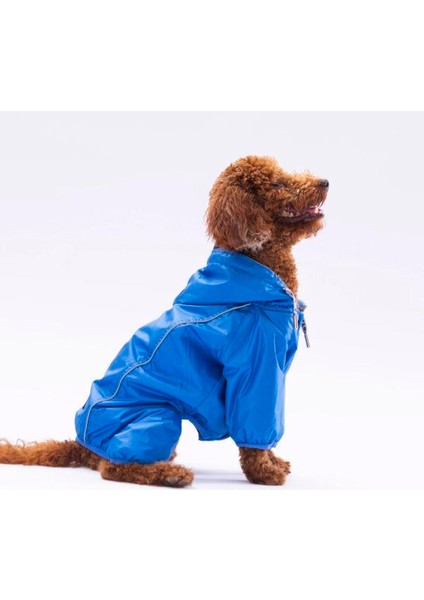 Sax Mavi Muson Su Geçirmez Küçük Irk Köpek Yağmurluk Tulum