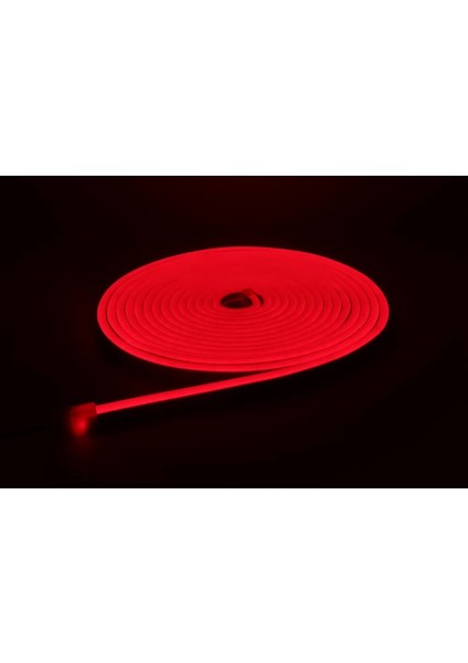 Neon LED Şerit 5metre Kırmızı LED Zincir Bandı Hortum Esnek Dekoratif Aydınlatma Işık 12V 10W