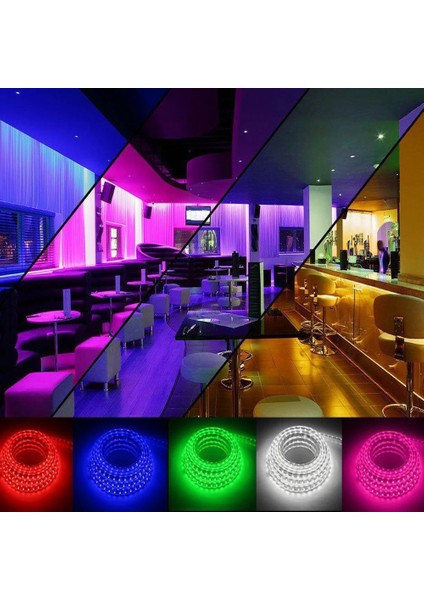 5metre 240 Led/m Şerit LED Rgb Hortum Kendinden Yapışkanlı Güçlü Yüksek Performans SMD2835 12V Dc IP20