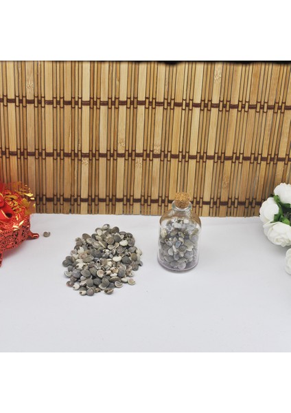 Umbinium Kiloluk Deniz Kabuğu (1 Kg) fiyatları