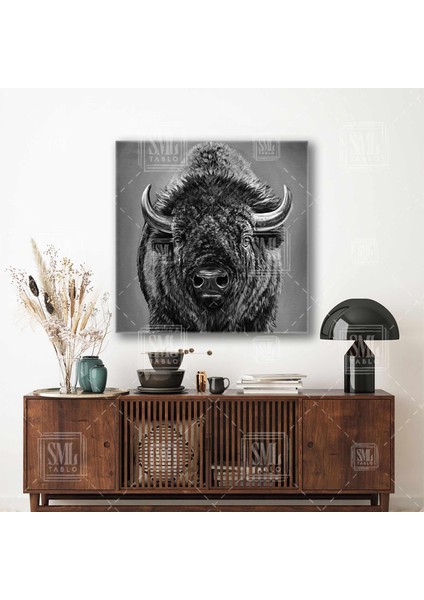 Amerikan Bizonu Buffalo Vahşi Doğa Hayvan Kare Kanvas Tablo