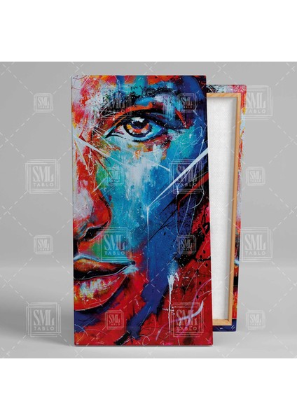 Dekoratif Art Soyut Portre Kız, Half Face Kırmızı ve Mavi Yüzlü Kadın Boyuna Dikey Kanvas Tablo