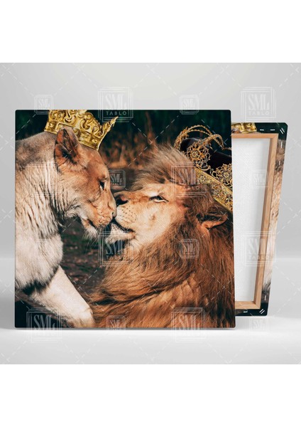 Altın Taçlı Aslan Çifti Ormanlar Kralı Romantik Kare Kanvas Tablo fiyatları