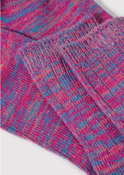 Renkli Bot Çorabı 1912734-70398 fiyatları