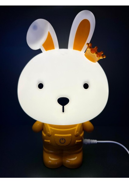 Tavşan 3 Kademe LED Işıklı Çocuk Masa Gece Lambası-3d Galaxy Kuromi Hello Kitty Sevgili Oyuncak indirimleri