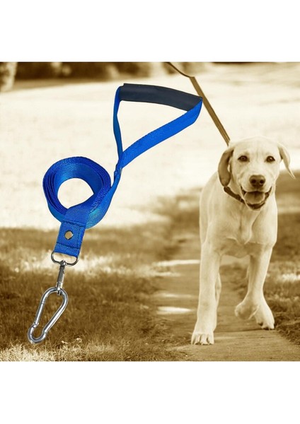Kedi Köpek Sevk ve Gezdirme Kayışı 160 cm