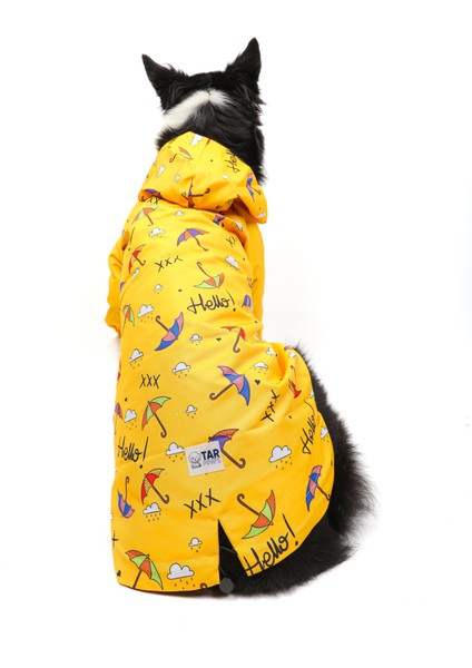 Umbrella Yağmurluk modelleri