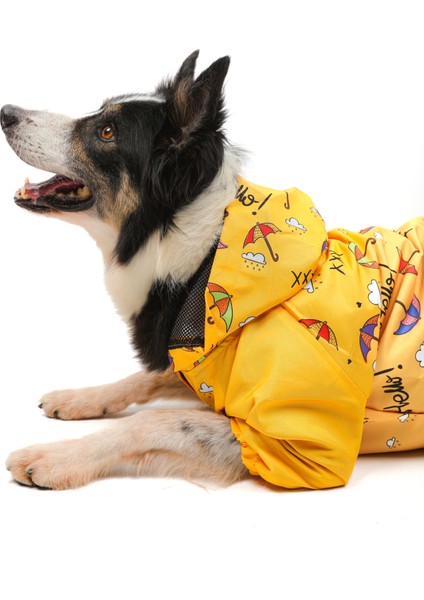 Umbrella Yağmurluk fırsatları