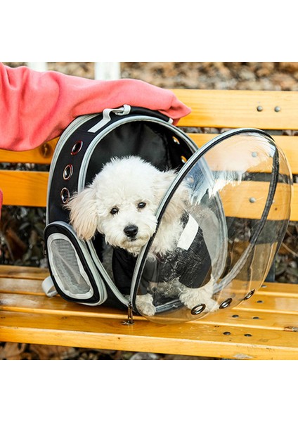 Pet Kedi Sırt Çantası Küçük Köpek Taşıma Kafesi Açık Seyahat Rahat Nefes Köpek Yavrusu Genişletilebilir Taşıyıcı Sırt Çantası Siyah (Yurt Dışından) fırsatları