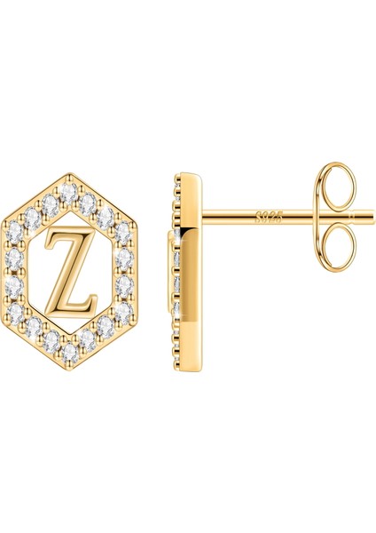 Laatikui Damızlık Küpe Kızlar Için S925 Gümüş 14K Altın Kaplama Kübik Zirkonya Küpe (Yurt Dışından)