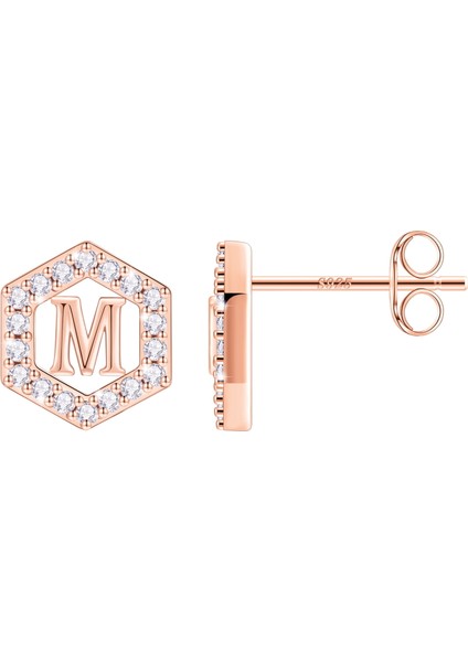 Laatikui Damızlık Küpe Kızlar Için S925 Gümüş 14K Altın Kaplama Kübik Zirkonya Küpe (Yurt Dışından)