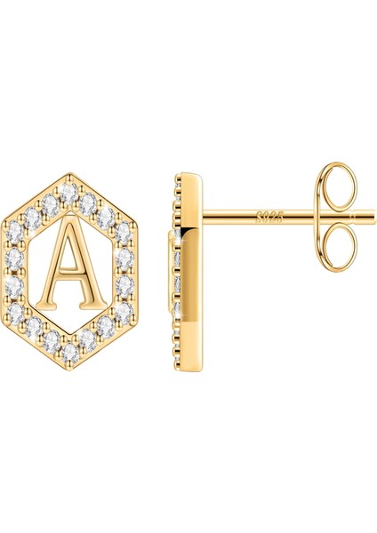 Laatikui Damızlık Küpe Kızlar Için S925 Gümüş 14K Altın Kaplama Kübik Zirkonya Küpe (Yurt Dışından)