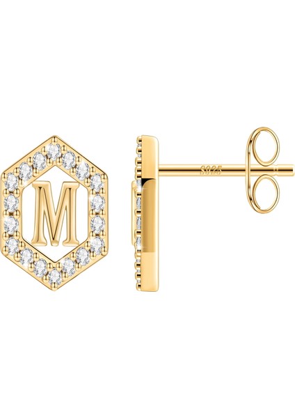 Laatikui Damızlık Küpe Kızlar Için S925 Gümüş 14K Altın Kaplama Kübik Zirkonya Küpe (Yurt Dışından)