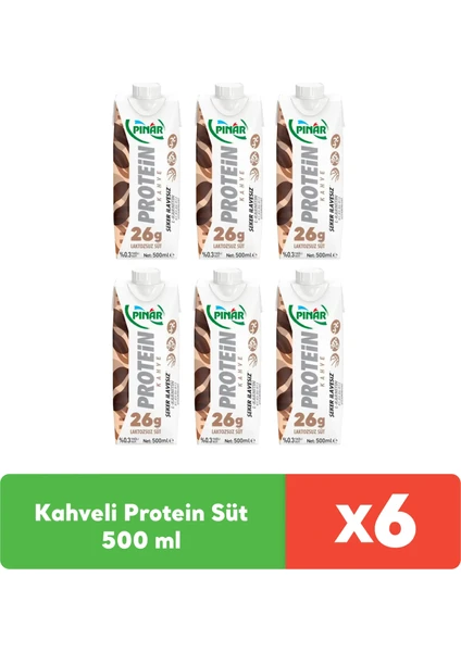 Kahveli Protein Süt 500 ml x 6 Adet