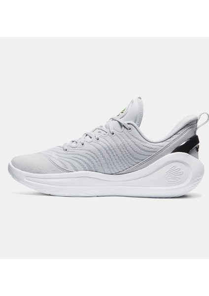Erkek Ua Curry 12 Basketbol Ayakkabısı 3027629-100