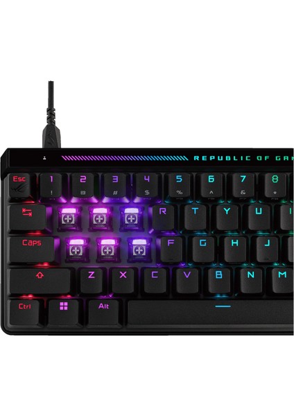 M605 Rog Falchıon Ace Hfx 65 Analog Yağlanmış Rog Hfx Manyetik Anahtarlar 8000 Hz Abs Tuş Kapakları Oyuncu Klavyesi