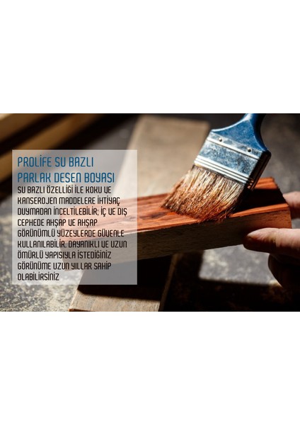 Hobi ve Panel Kapı Boyaları