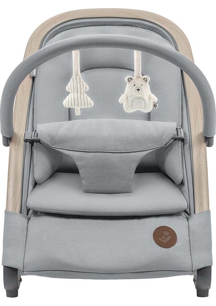 Kori Ev Tipi Sallanan Yükseklik Ayarlı Ana Kucağı Beyond Grey Eco