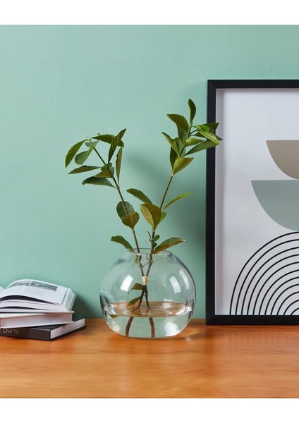 421241 "marosava" Şeffaf Cam Vazo 17CM Yüksekliğinde