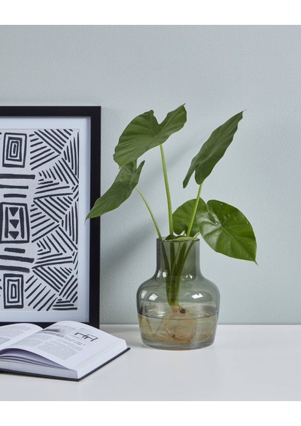 421218 Yeşil Cam Vazo 19,5 cm