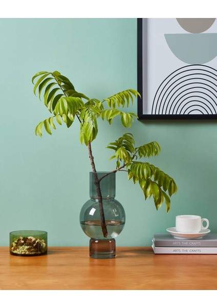 421231 28 cm 15,5 cm Çapında Gri Cam Vazo