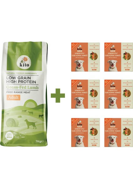 Yetişkin Köpek Maması 7 kg + Balık Etli Kito Fresh (Somon) x 6