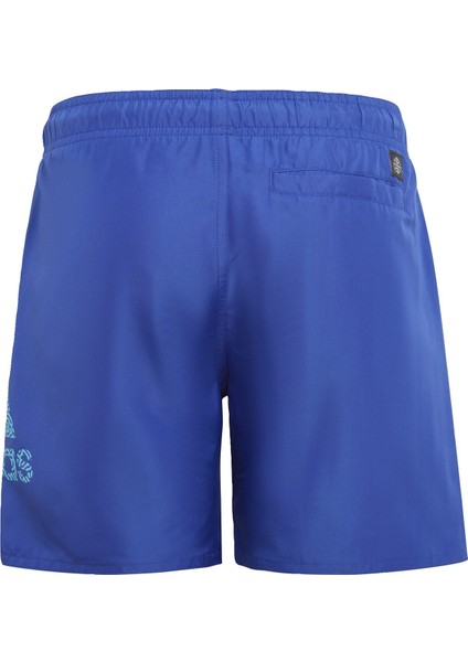 Sportswear IC7696 Logo CLX Swim Shorts indirimleri