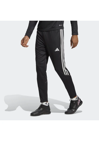 Adidas Performance HS3619 Tiro 23 Club Training Pants