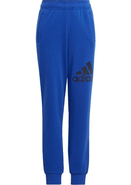 Sportswear IJ6301 Essentials Regular Fit Big Logo Cotton Pants