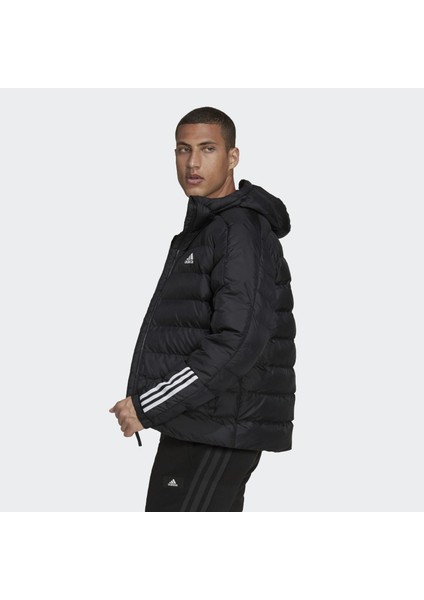 Sportswear GT1674 Itavic 3-Stripes Midweight Hooded Jacket