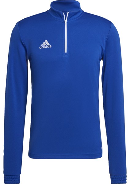 Performance HG6286 Entrada 22 Training Top fiyatları