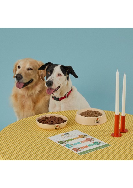 Yetişkin Köpek Maması 7 kg + Hindi Etli Kito Fresh x 6 modelleri