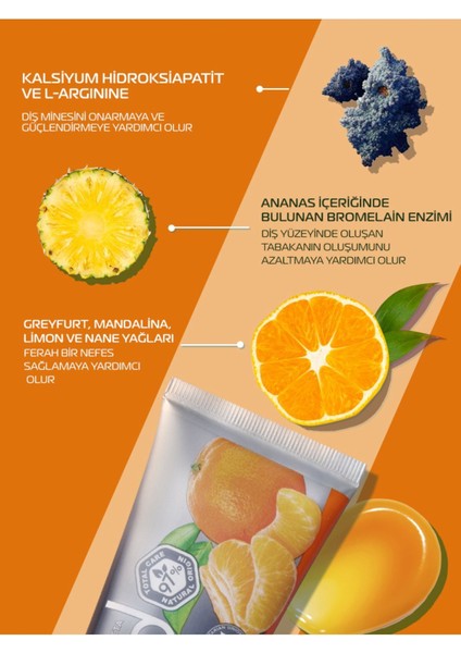 Citrus Fresh Diş Macunu ve Silver Diş Fırçası 2'li Set Doğal Bitkisel Vegan Florürsüz