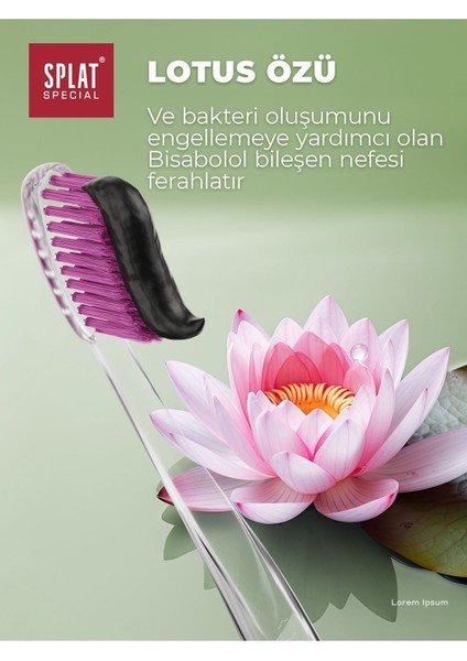 2 Adet Black Lotus Diş Macunu 2 Ton Beyaz Florürsüz Kömür Etkili Doğal