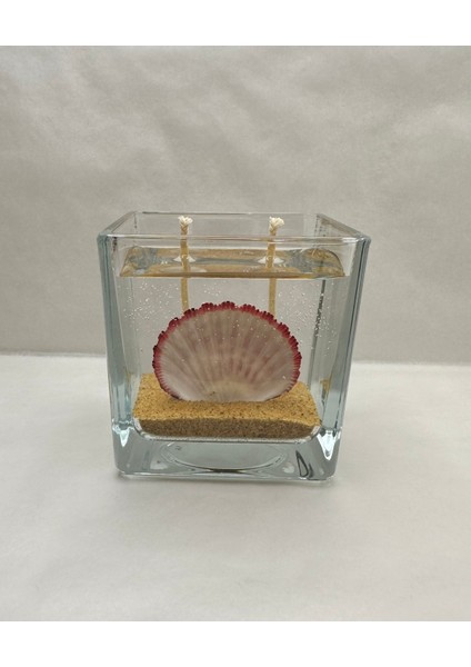 Pecten Deniz Kabuğu Jel Mum fırsatları