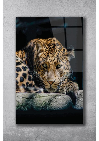 Jaguar Cam Tablo, Ev Ofis Salon Duvar Dekoru, Büyük Tablo Dekor
