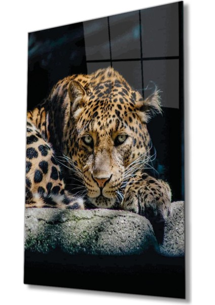 Jaguar Cam Tablo, Ev Ofis Salon Duvar Dekoru, Büyük Tablo Dekor