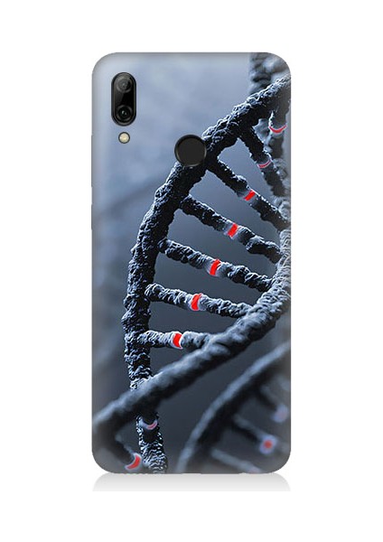 Huawei P Smart 2019 Uyumlu Dna Sarmalı Desenli Silikon Kılıf