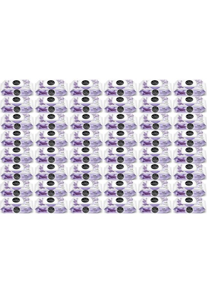 Islak Havlu Mendil 100 Yaprak Lavanta (48 Li Set) 4800 Yaprak