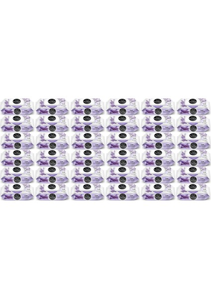 Islak Havlu Mendil 100 Yaprak Lavanta (36 Lı Set) 3600 Yaprak