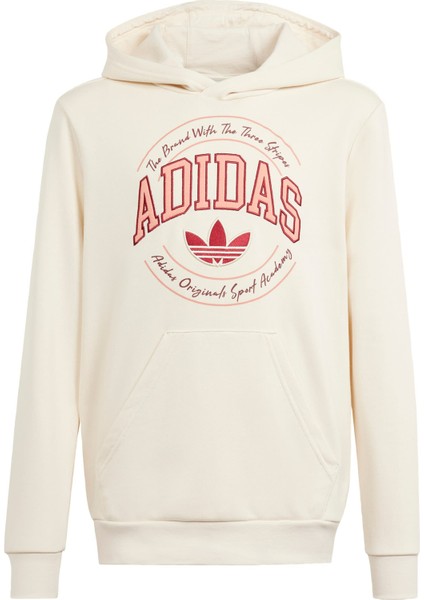 Originals IN0623 VRCT Hoodie