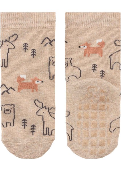 Kız Çocuk Ikili Çorap fiyatları