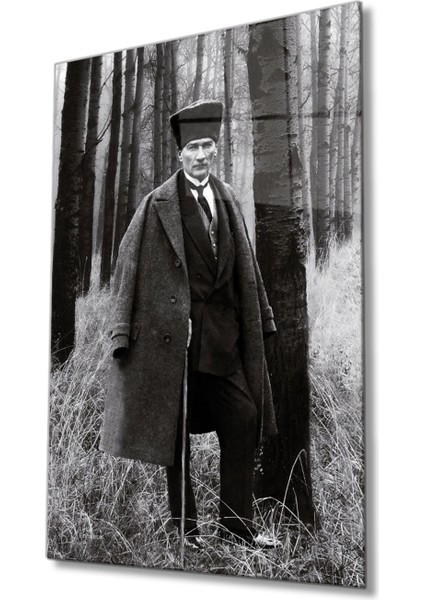 Atatürk Siyah Beyaz Cam Tablo, Ev Ofis Duvar Dekoru, Büyük Tablo Dekor indirimleri